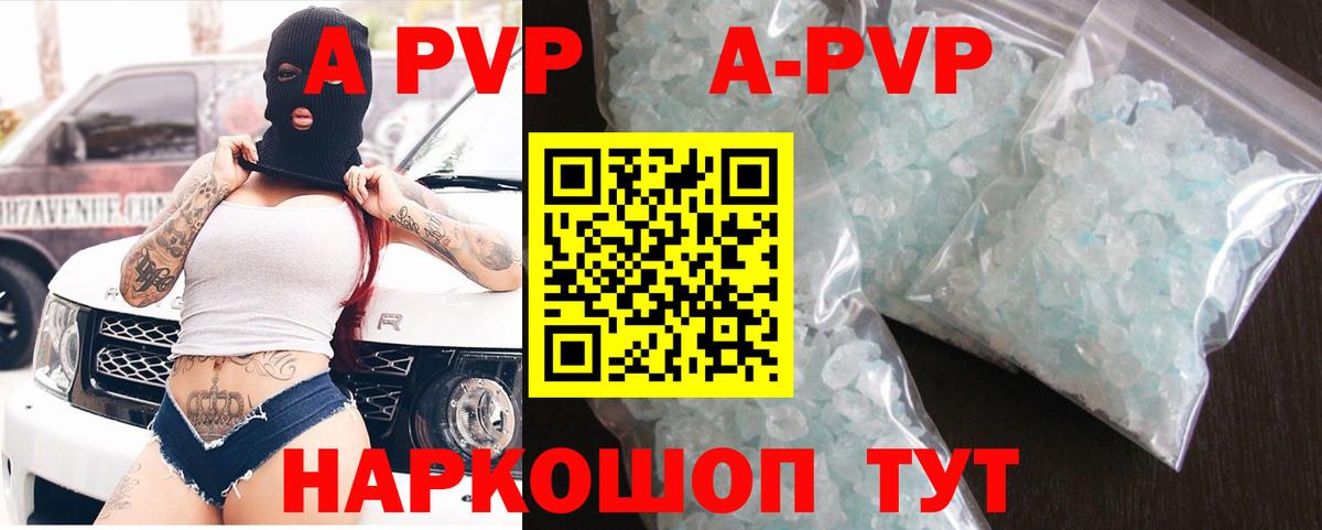 A PVP СК КРИС Дубна