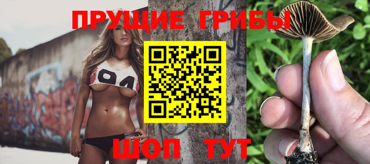 Дубна  Псилоцибиновые грибы Psilocybe  Псилоцибиновые грибы Cubensis  Вход с VPN 