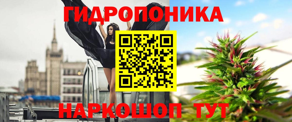 Конопля MAZAR  Бошки марихуана ГИДРОПОН  Каннабис Amnesia  Дубна  Вход с VPN 